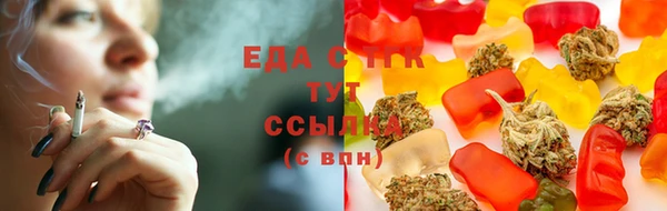 крисы Касимов