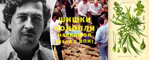 гидра Карталы