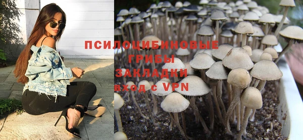 крисы Касимов