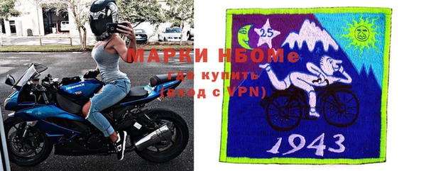 крисы Касимов