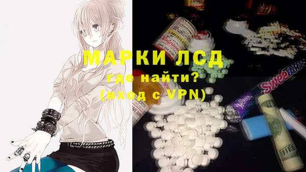 крисы Касимов
