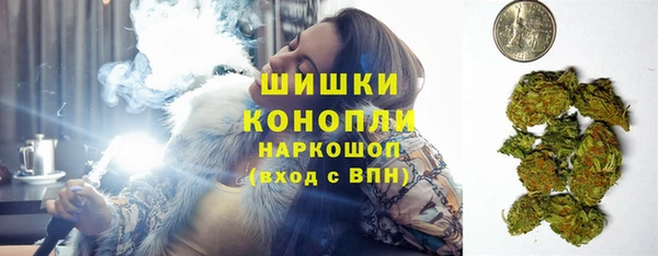 крисы Касимов